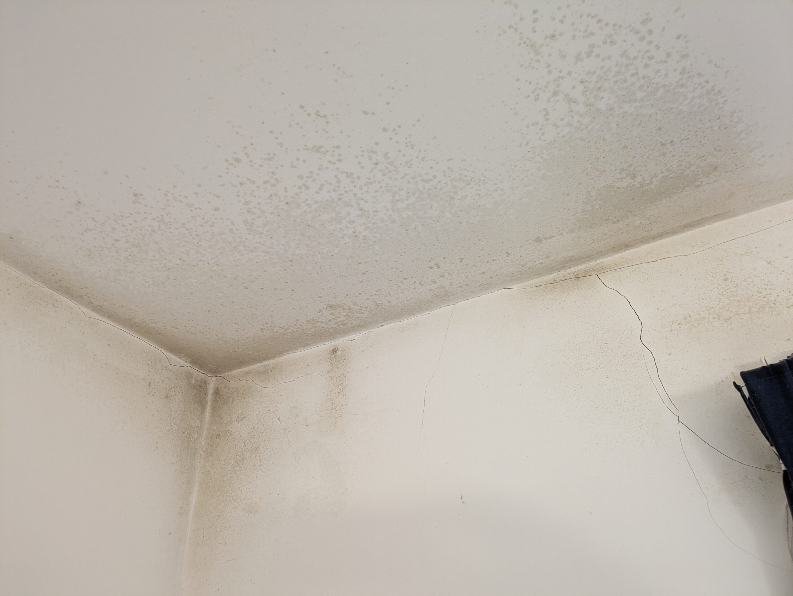 Photo showing black moulds between the wall and ceiling